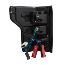 FORD F-150 2018-2019 LED Baklampor Röktonade ANZO